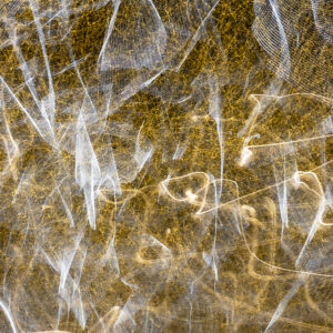 Movimento - codice 1346